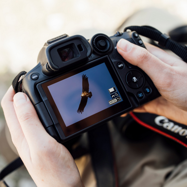 Appareil photo hybride Canon EOS R7 boîtier nu (5137C003AA) – Image 8