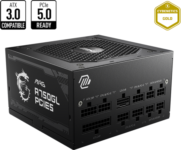 Bloc alimentation MSI MAG A750GL PCIE5 (306-7ZP8B11-CE0)