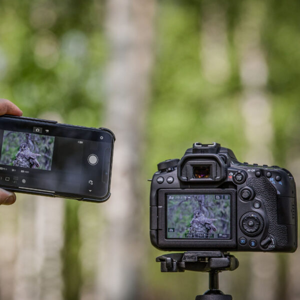Canon EOS 90D + objectif EF-S 18-55mm IS STM (3616C010AA) – Image 7