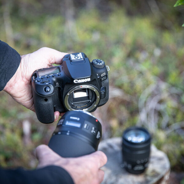 Canon EOS 90D + objectif EF-S 18-55mm IS STM (3616C010AA) – Image 8