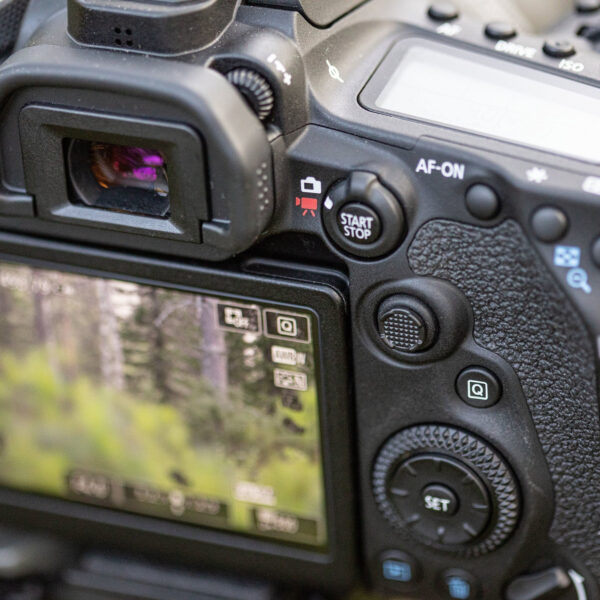 Canon EOS 90D + objectif EF-S 18-55mm IS STM (3616C010AA) – Image 9