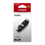 Cartouche d'encre d'origine Canon PGI-450 PGBK Noir