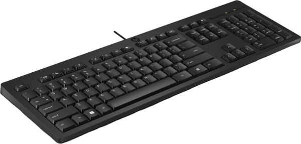 Clavier filaire HP 125 (Pack 6 unités) - Français (AZERTY) (266C9A6) – Image 3
