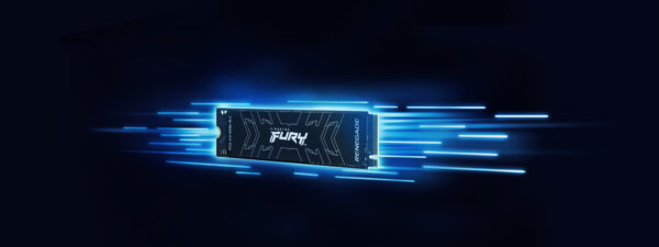 Prix Kingston Technology 500G FURY RENEGADE M.2 2280 NVMe SSD 500G FURY RENEGADE M.2 2280 NVMe SSD (SFYRS/500G) -  832.00 -  832.00 – Image 11