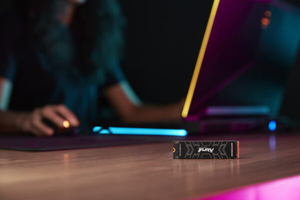 Prix Kingston Technology 500G FURY RENEGADE M.2 2280 NVMe SSD 500G FURY RENEGADE M.2 2280 NVMe SSD (SFYRS/500G) -  832.00 -  832.00 – Image 13