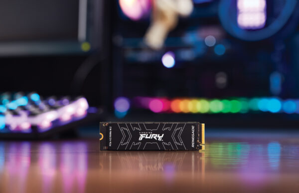 Prix Kingston Technology 500G FURY RENEGADE M.2 2280 NVMe SSD 500G FURY RENEGADE M.2 2280 NVMe SSD (SFYRS/500G) -  832.00 -  832.00 – Image 10