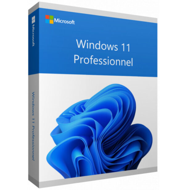 microsoft windows 11 professionnel 64bit 1pk dsp oei dvd anglais fqc 10528