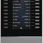 Prix Module d'extension Grandstream GBX20 -  1530.00 -  1530.00