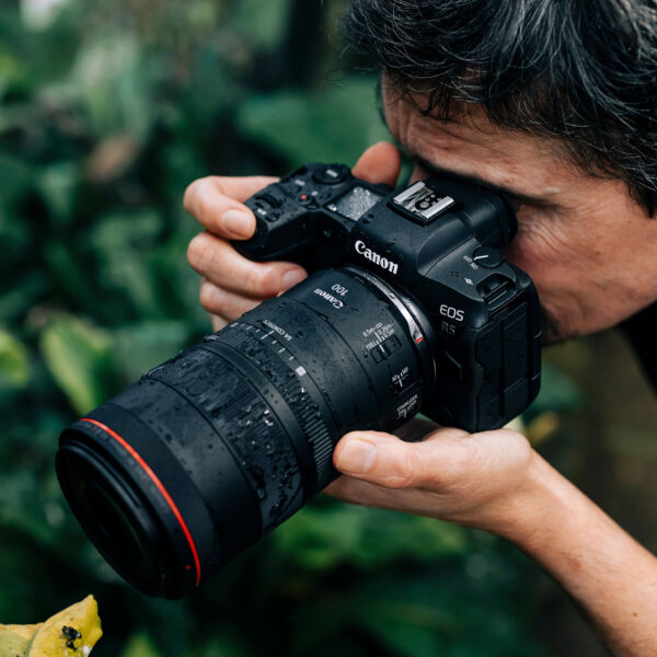Objectif Canon RF 100mm F2.8L IS macro USM (4514C005AA) – Image 7
