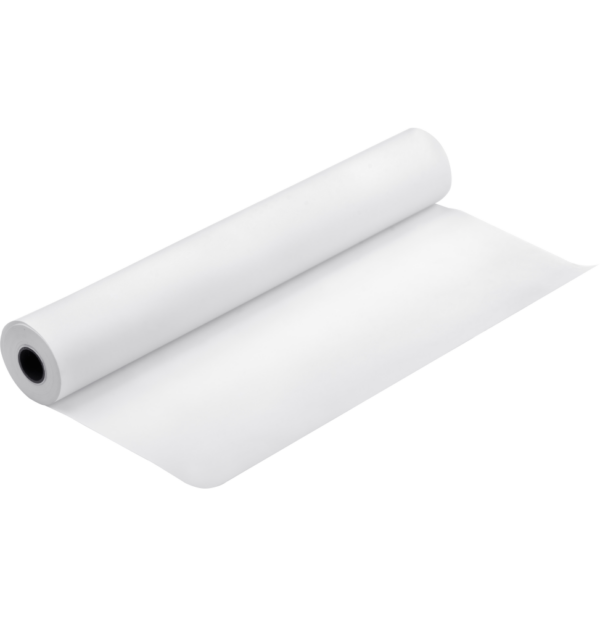 Papier d'épreuvage semi-mat Epson Proofing Paper Blanc Semimatte 256g 24" (0,610x30,5m) (C13S042004)