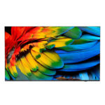 Prix Philips 43HFL6214U 109,2 cm (43") 4K Ultra HD Smart TV Wifi Anthracite 400 cd/m² Écran enroulable (43HFL6214U/12) -  - 