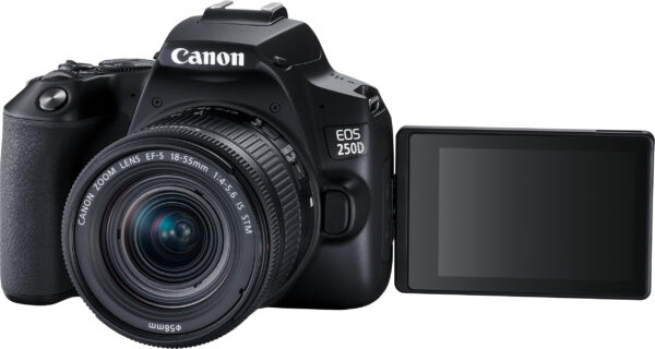 Reflex Canon EOS 250D + objectif EF-S 18-55mm f/4-5.6 IS STM (3454C002AA) – Image 2