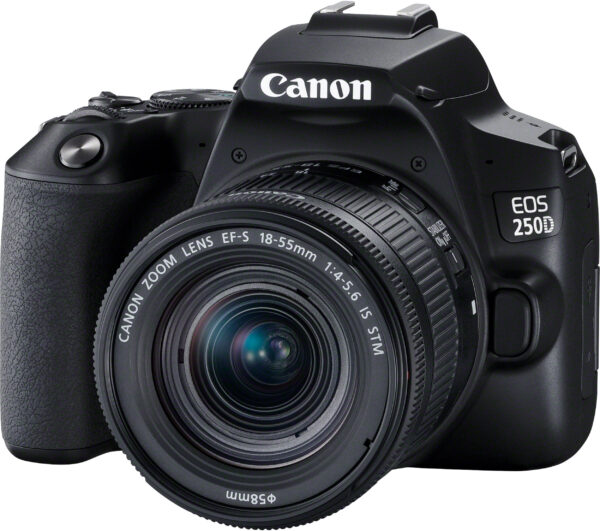 Reflex Canon EOS 250D + objectif EF-S 18-55mm f/4-5.6 IS STM (3454C002AA) – Image 9