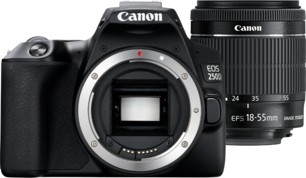 Reflex Canon EOS 250D + objectif EF-S 18-55mm f/4-5.6 IS STM (3454C002AA) – Image 10