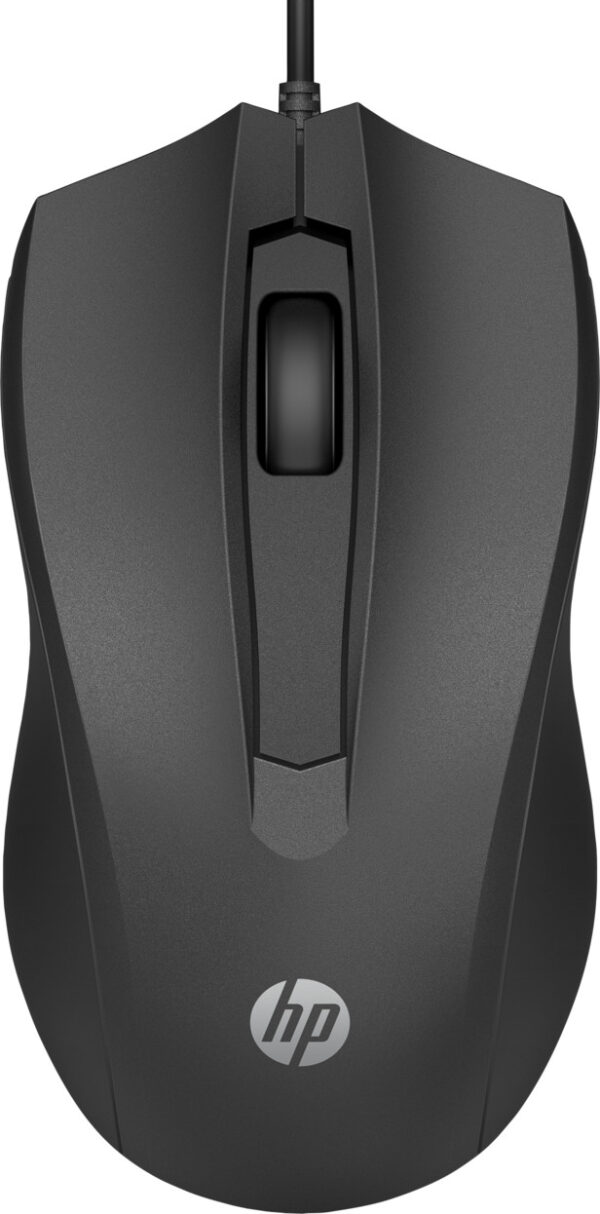 Souris filaire 100 HP (6VY96AA)