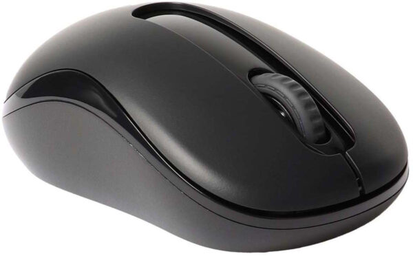 Souris sans fil Rapoo M10+ (M10PLUS)