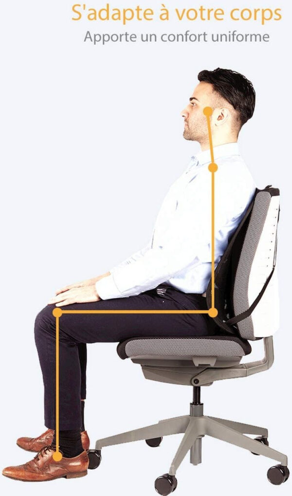 Prix Support dorsal en maille Fellowes Office Suites™ (9191301) -  552.00 -  552.00 – Image 2