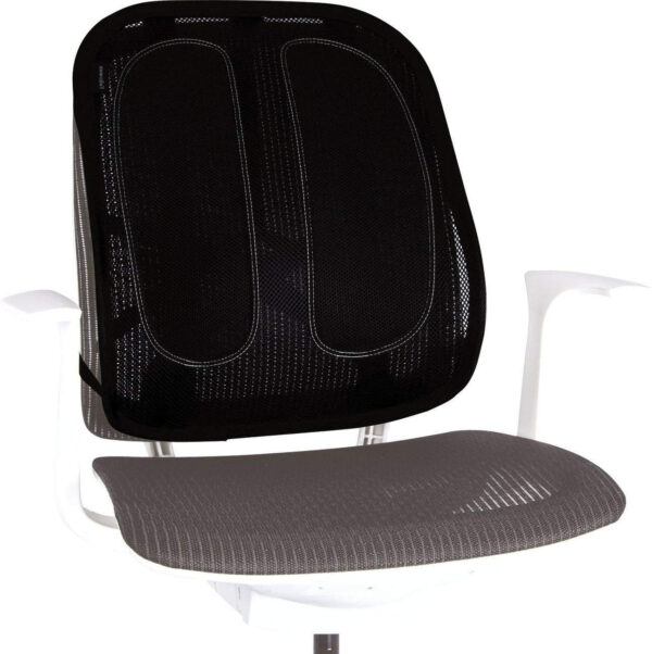 Prix Support dorsal en maille Fellowes Office Suites™ (9191301) -  552.00 -  552.00
