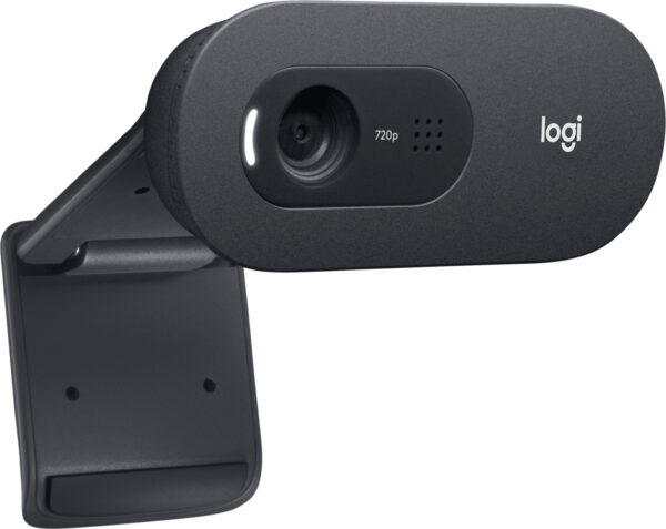 Webcam Logitech C505e (960-001372)